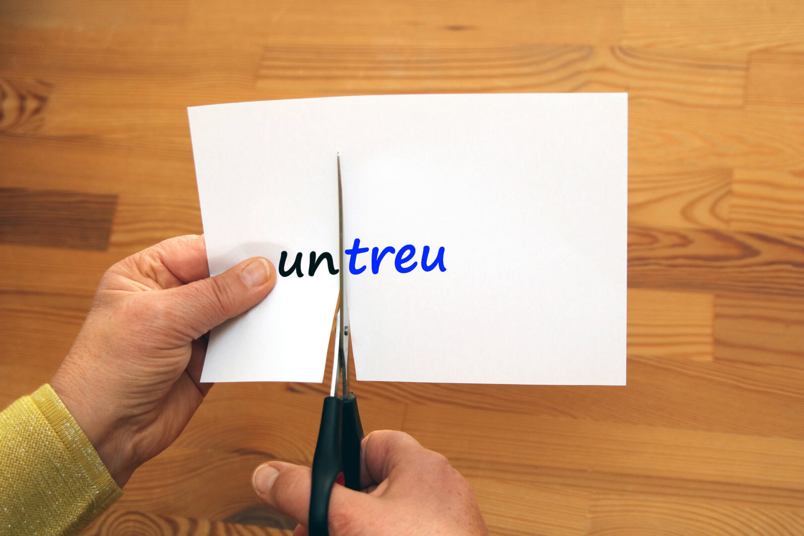 EuGH „Verbraucher“ bei einem Vertrag über Aufnahme in Treuesystem